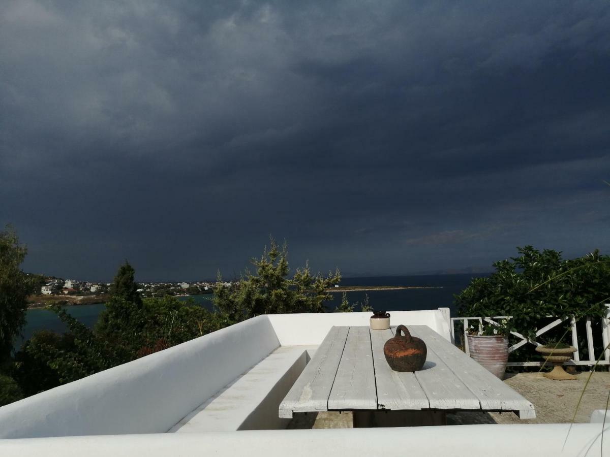 Artemis Villa Near Athens Airport Markopoulo Mesogaias Exterior photo