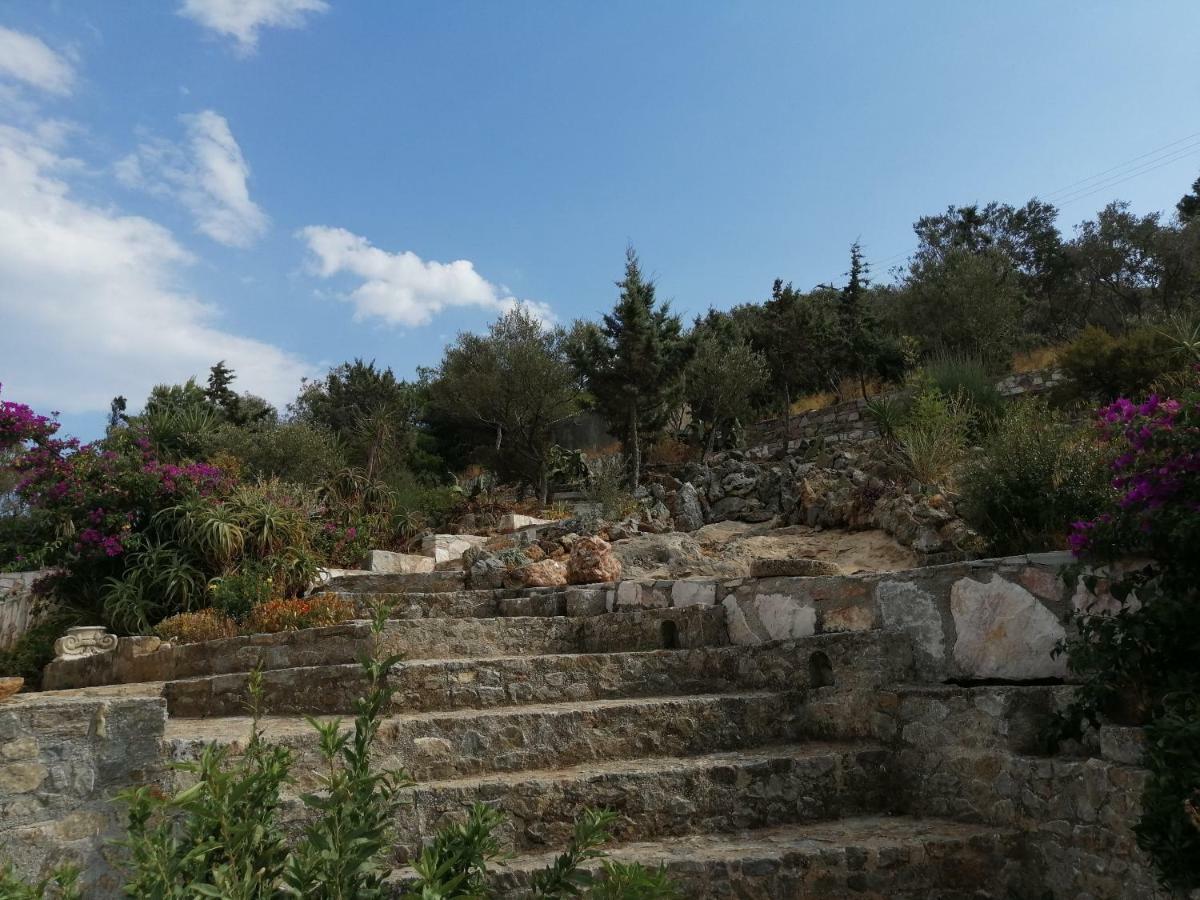 Artemis Villa Near Athens Airport Markopoulo Mesogaias Exterior photo