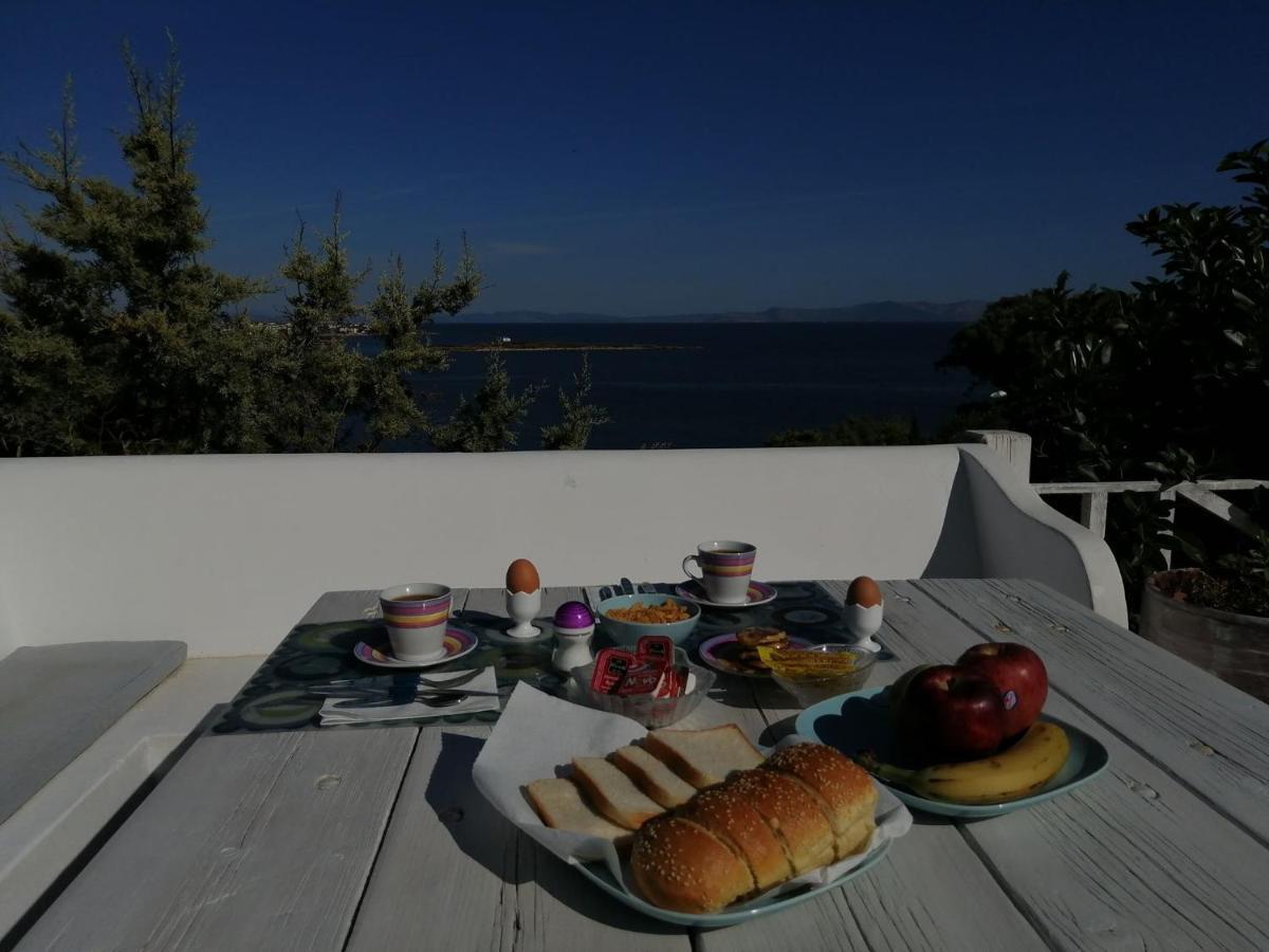 Artemis Villa Near Athens Airport Markopoulo Mesogaias Exterior photo